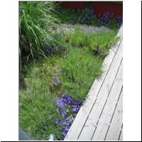 2008-05-17-01.jpg